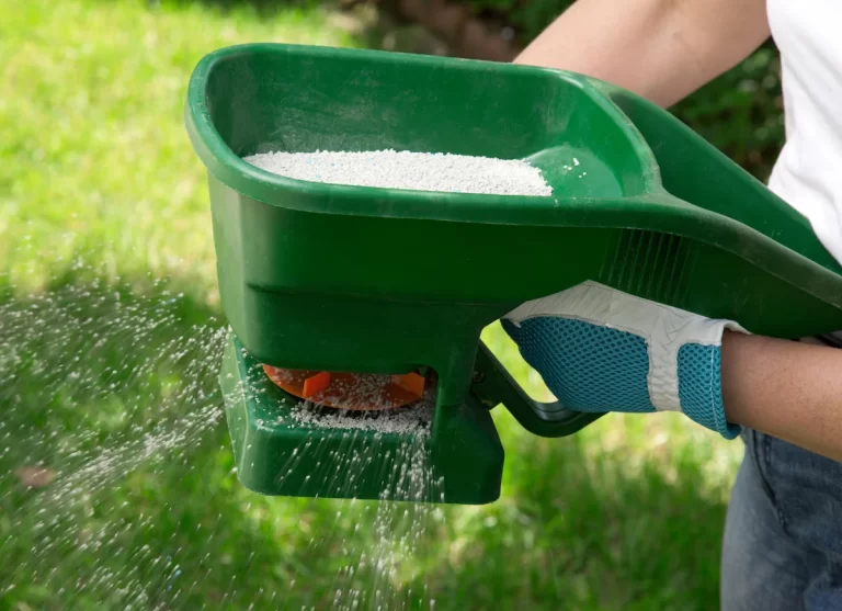 How Often Should a Lawn Be Fertilized?